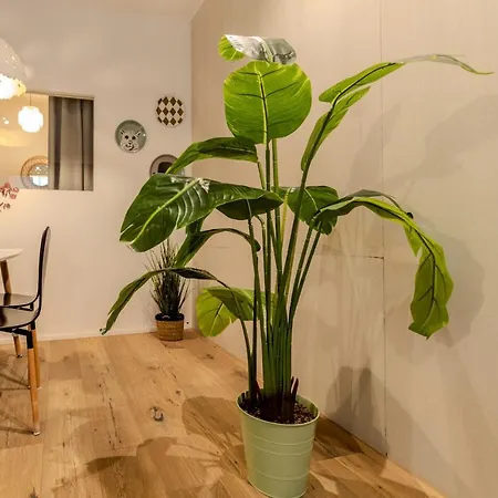 Apartment Long Heaven - Spacious 2br Apt With Balcony Bucharest